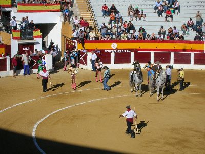LOS TOROS DEL 2005